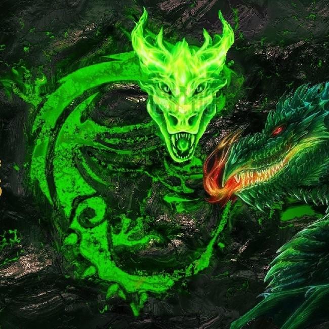 Jade Dragons