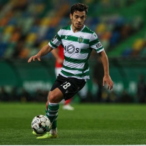 Pedro António
