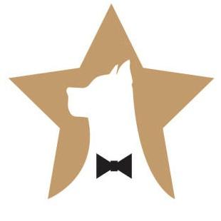 StarDog Gaming