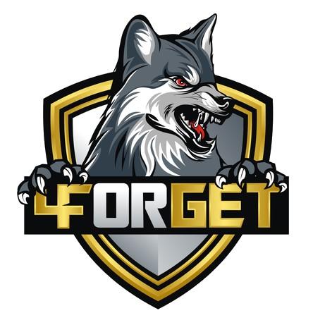 4orget Esports