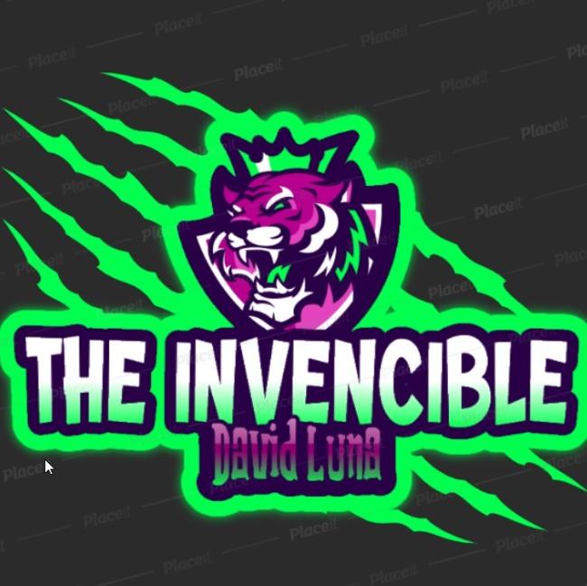 THE INVENCIBLE