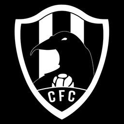 CUERVOS NEGROS