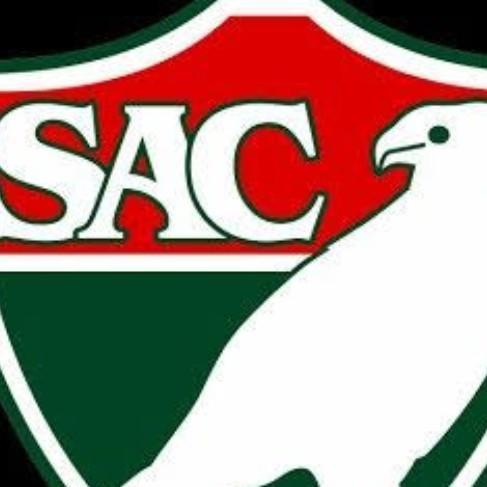 Salgueiro