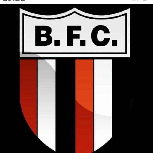 Botafogo sp