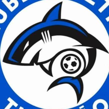 Tubarão