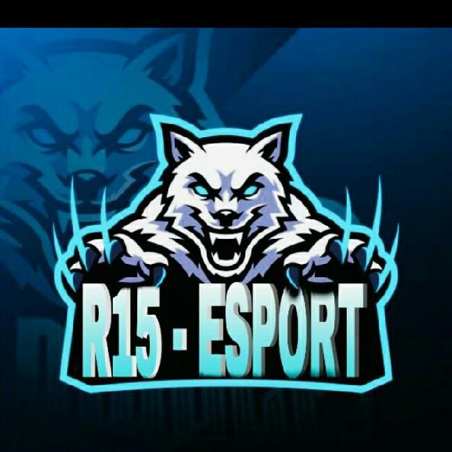 AR15-SPORTE