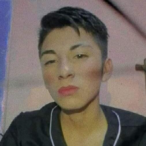 Ariel Alexander Gonzalez Mendoza