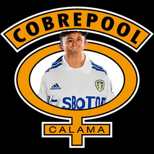 Cobrepool