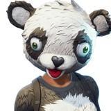 Líder Del Equipo P.A.N.D.A