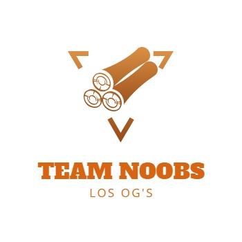 Team Noobs