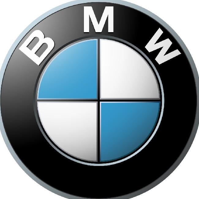 BMW F1 Racing Team