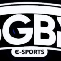 SGBR E-SPORTS