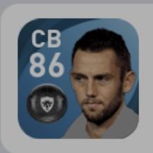 S. DE VRIJ