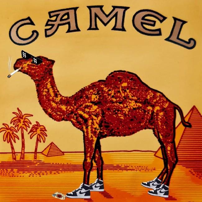 CAMEL SQUADRON