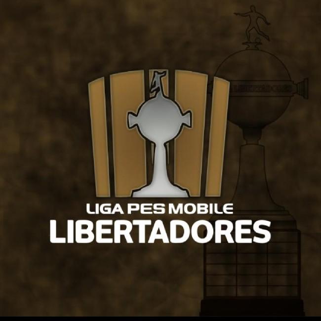 Libertadores LPM - VI