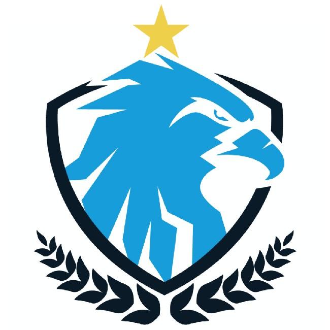 Aero T Calcio