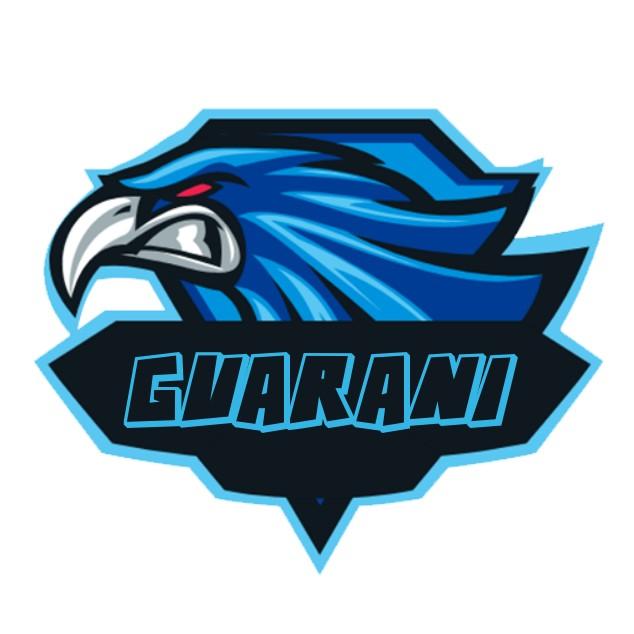 Team Guarani