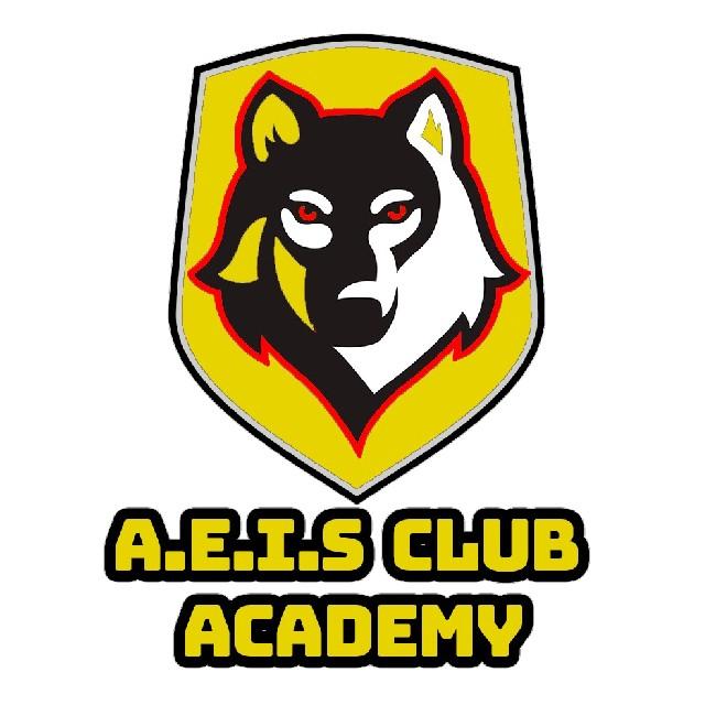 AEIS Academy