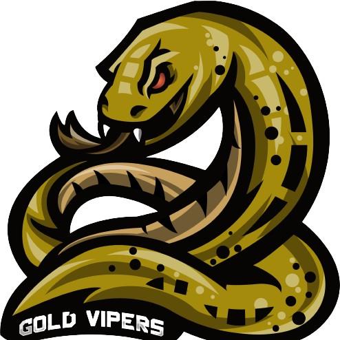 Gold Vipers