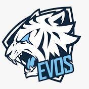 EVOS REBORN