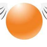 ORANGE PLAY