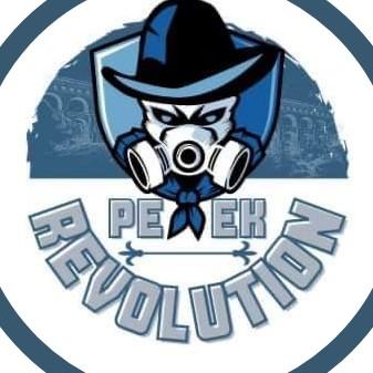 PEEK REVOLUTION