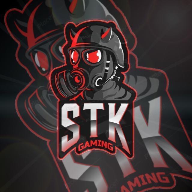 TEAM STK
