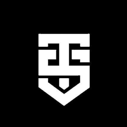 TEAM STELF