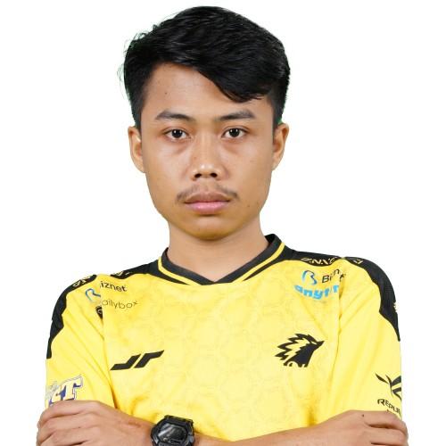 ONICPowerpvnk