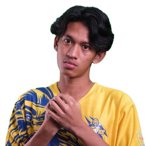 BFDHans4You