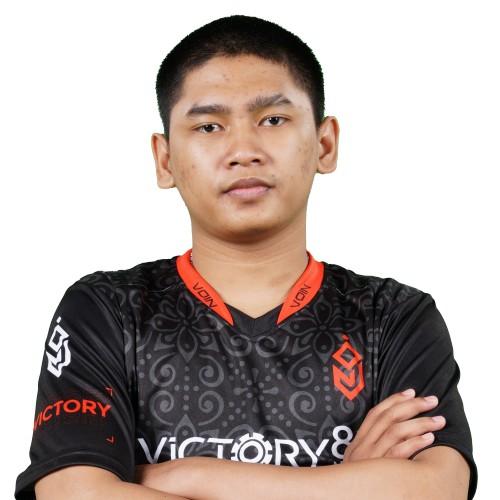 VOINAssaV88
