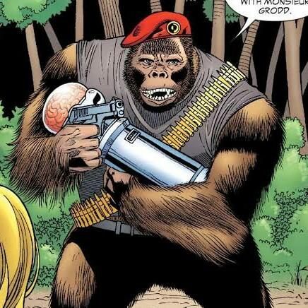 def) MONSIEUR MALLAH (SUP)