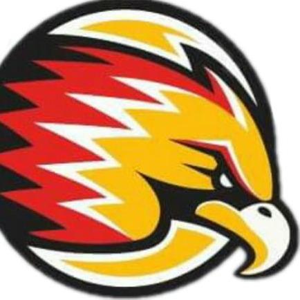 FALCOES DOURADOS