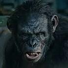 DEF) KOBA