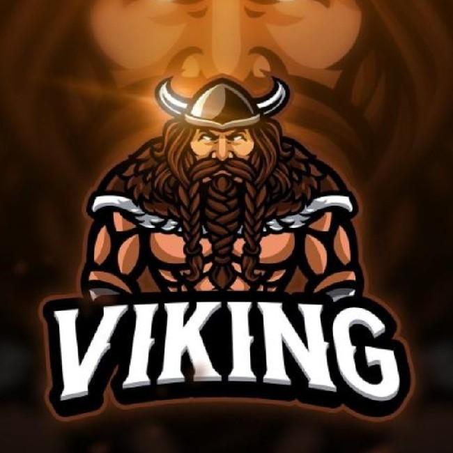 Campeonato vikingo