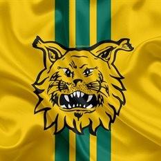Iilves