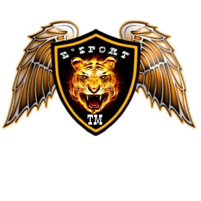 NSG.E-SPORT