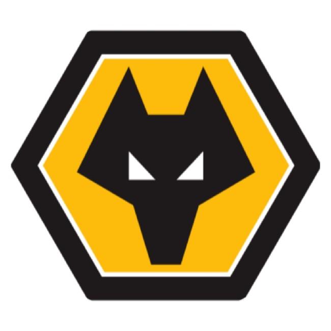 Wolverhampton FC