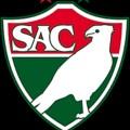 Salgueiro