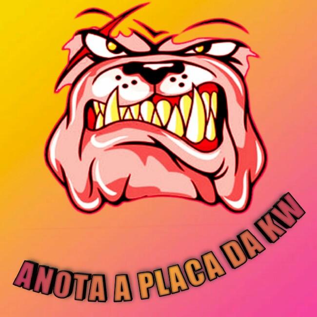 ANOTA A PLACA