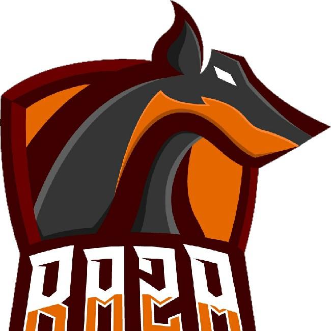 Raza eSports