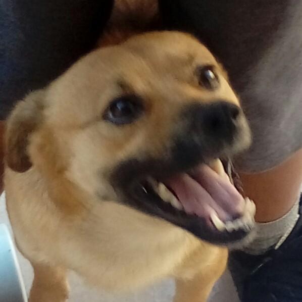 BOLINHA