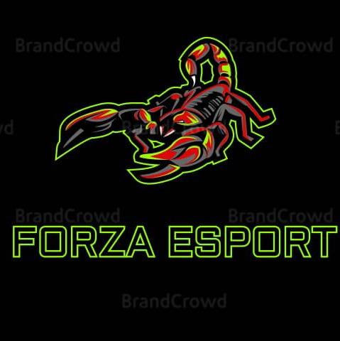 FORZA ESPORT