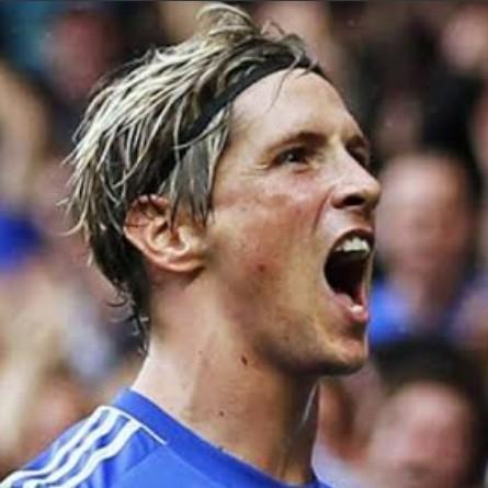 FERNANDO TORRES