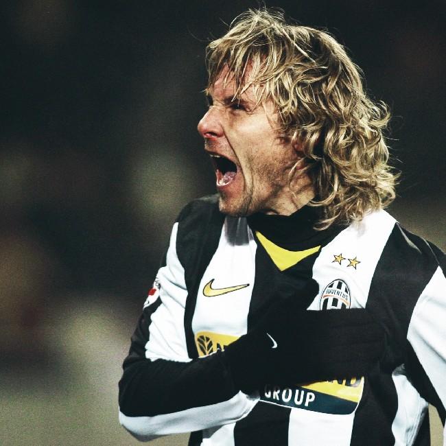 P.NEDVED