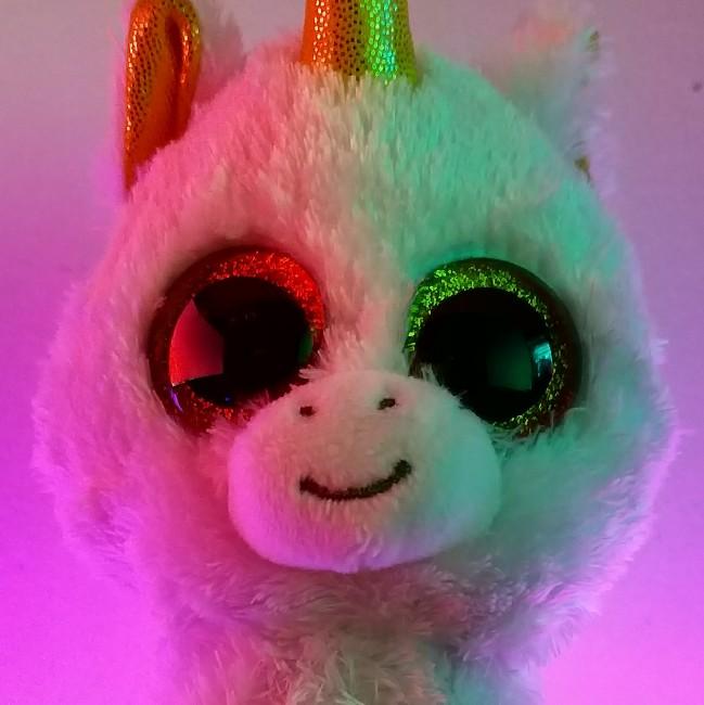 Gimmy l'unicorno Championship