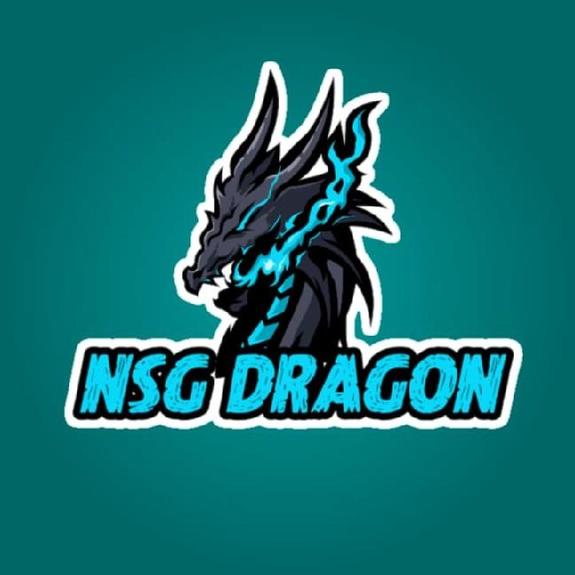 NSG*DRAGON