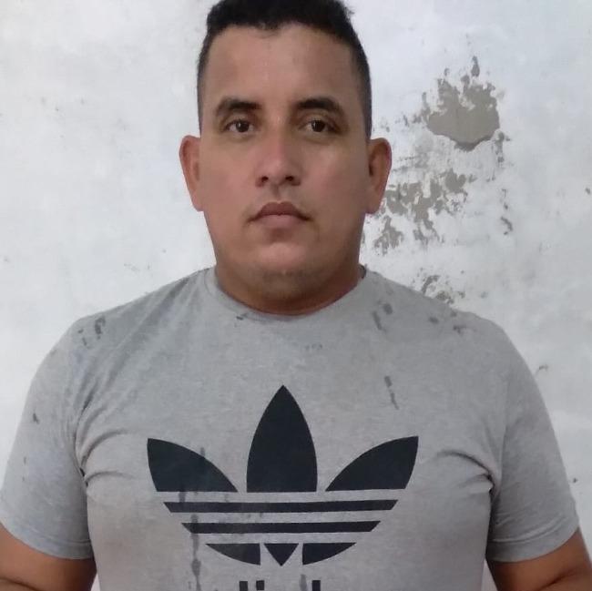 Guto-pitbull_77