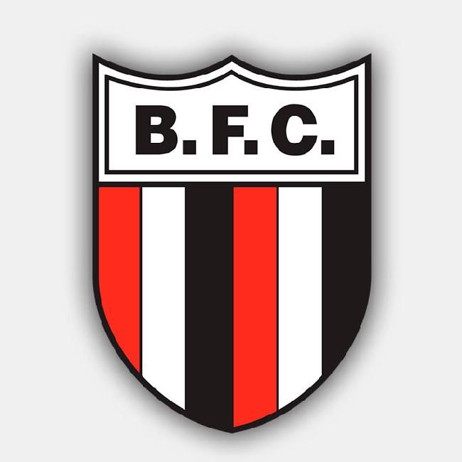 Botafogo de SP