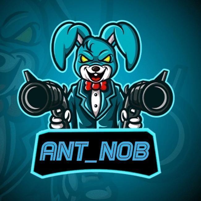 Ant Noob